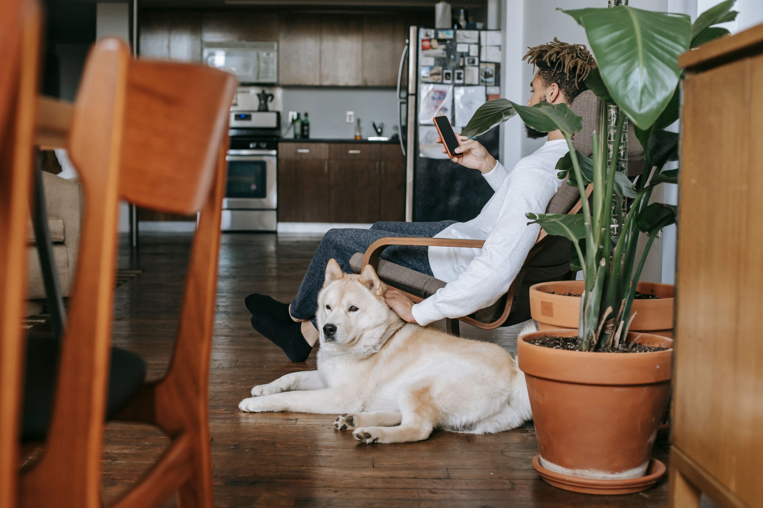 Finding a truly pet-friendly apartment in New York can be a challenge, but modern buildings with welcoming policies are making it easier for dog owners like this one to settle in comfortably