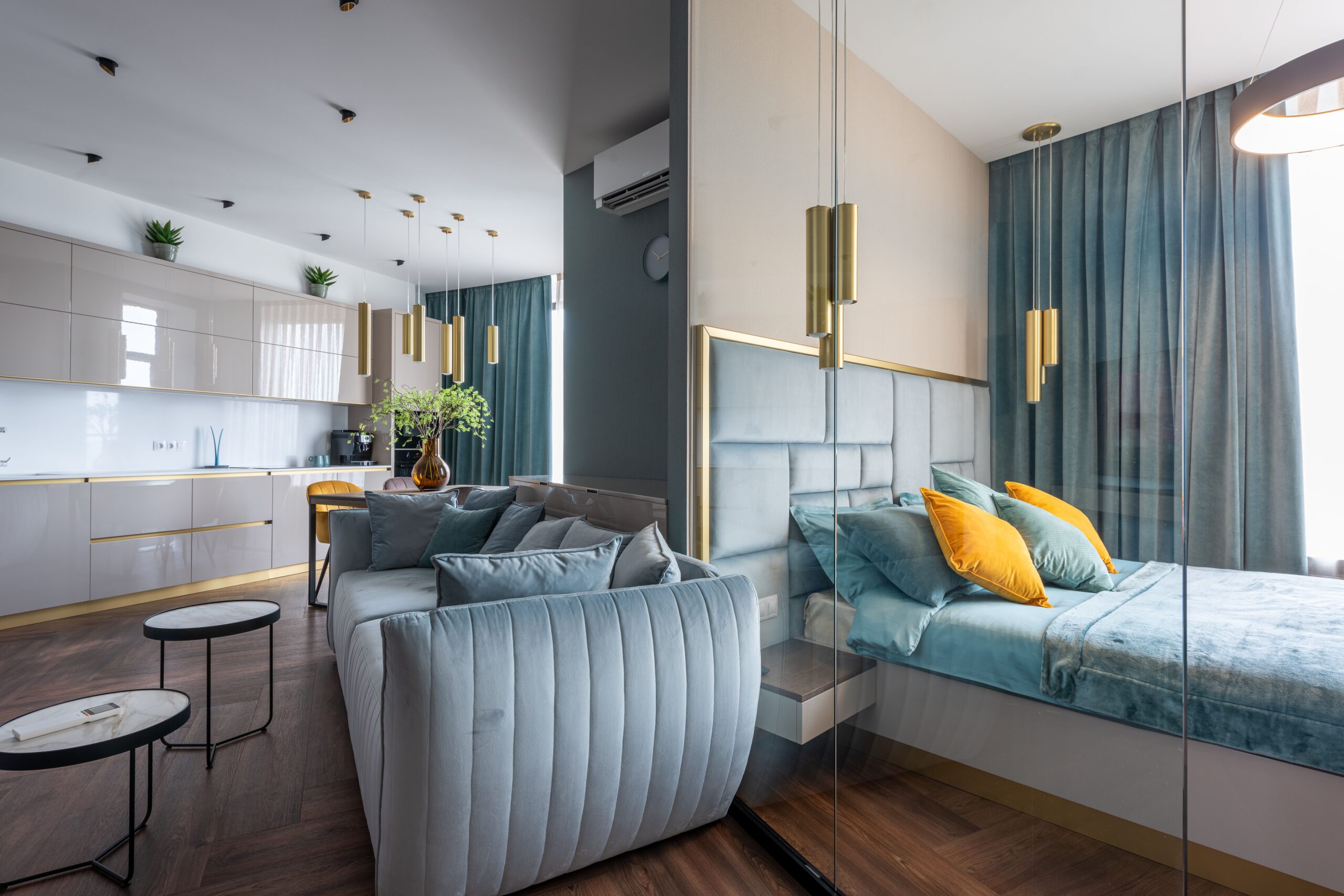 Studio apartment layout with living sleeping dining and storage zones